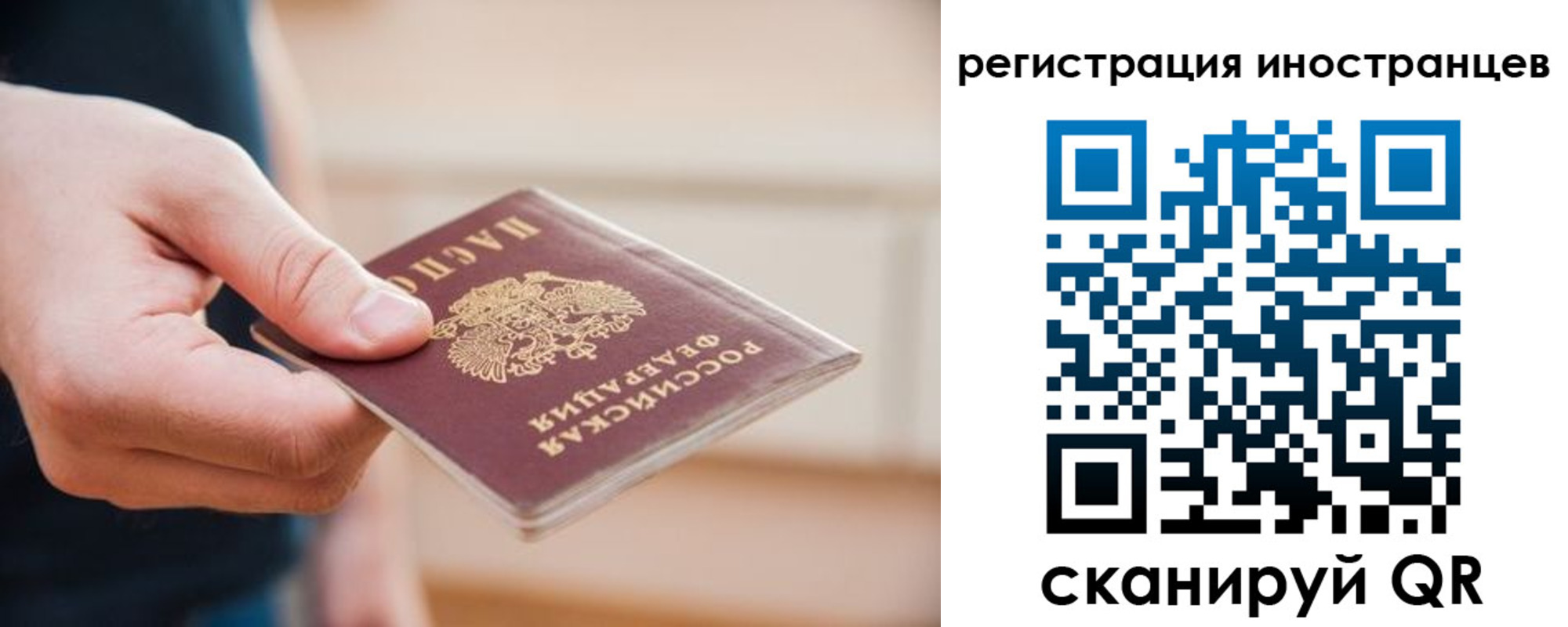 прописка гарантия в Волгодонске